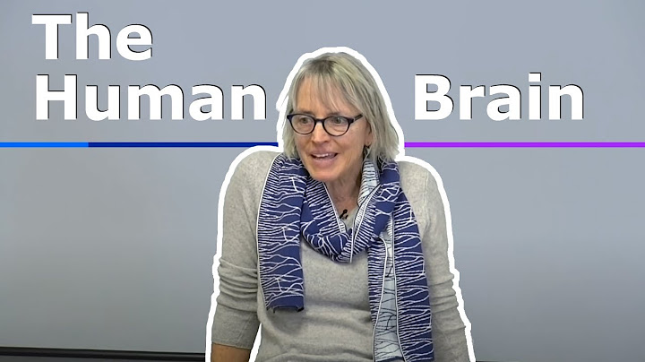 9.13 The Human Brain